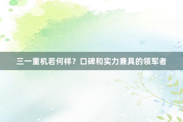 三一重机若何样？口碑和实力兼具的领军者